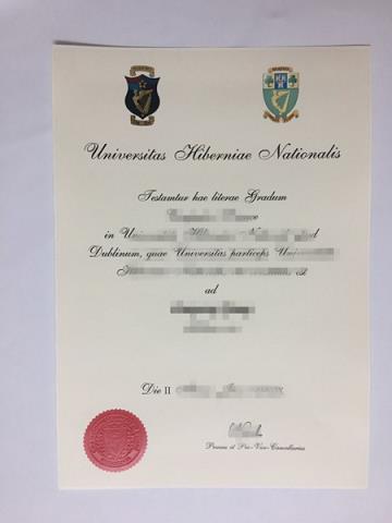 爱尔兰都柏林城市大学毕业成绩单diploma
