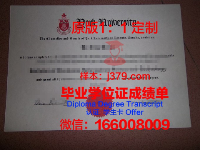 国外学历认证没有毕业证(国外学历认证没有纸质版)