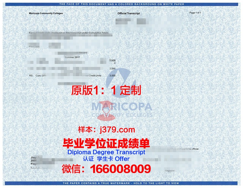 索尔兹伯里大学成绩单：展现学术实力与个人成长的凭证