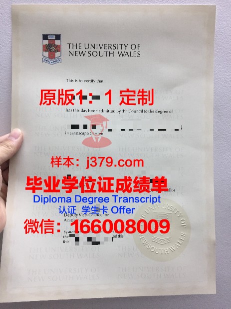 IR大毕业证：开启人生新篇章的通行证