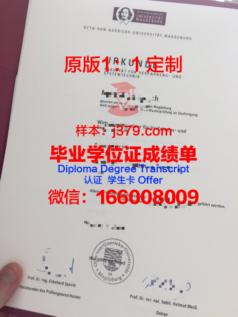 马格德堡应用技术大学毕业证展示