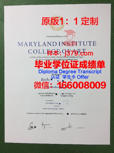 第比利斯国立艺术学院毕业证案例(第比利斯大学)