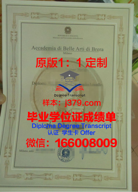 米兰布雷拉美术学院学位成绩单定制：探索艺术成就的真实记录