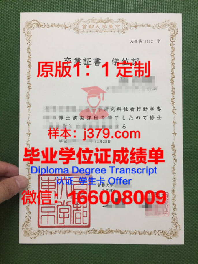 东京外国语大学毕业证图片