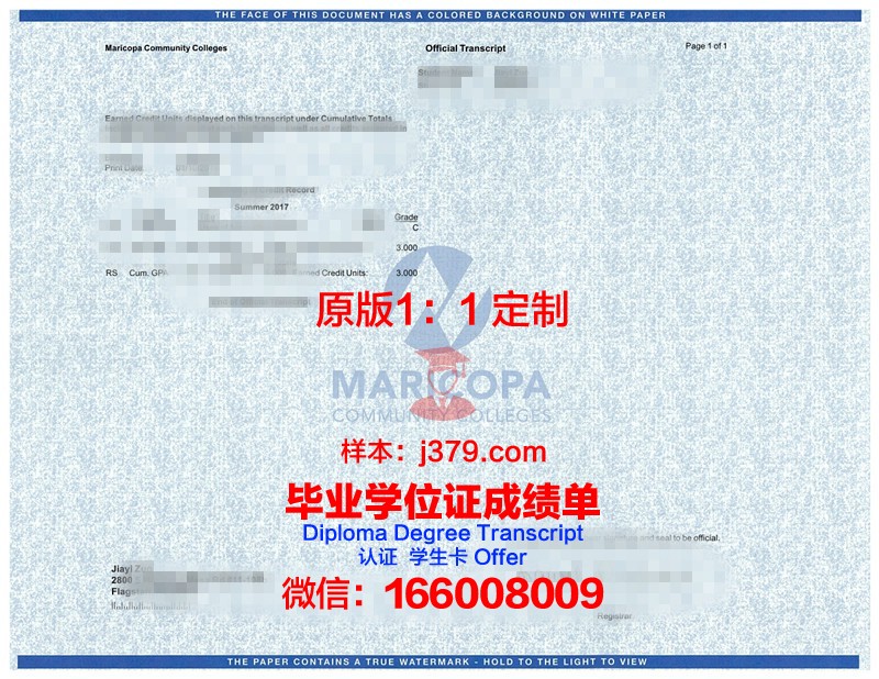 HSE Moscow学位成绩单定制：打开国际教育认证的大门