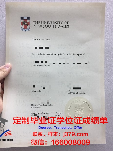 马斯特里赫特管理学院毕业证照片(马斯特里赫特大学硕士)