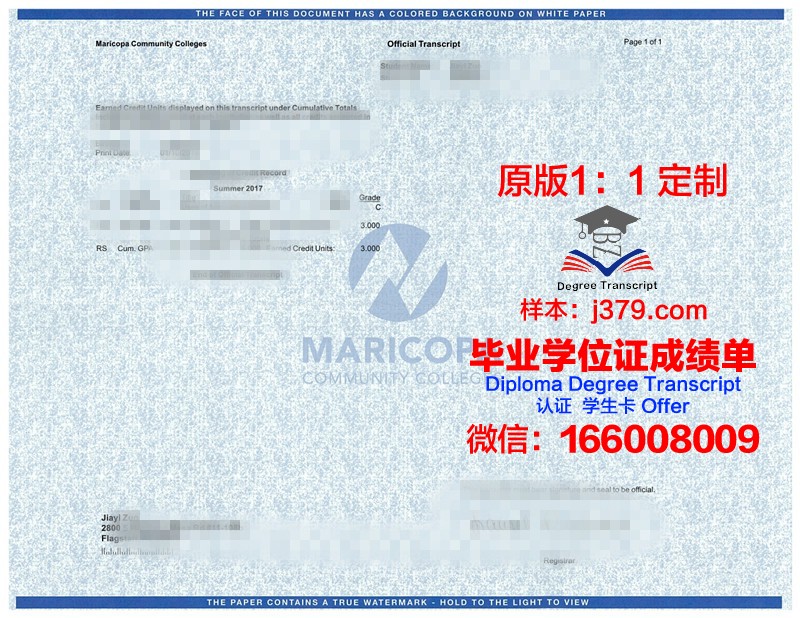 爱默生学院博士毕业证书(爱默生学院奖学金)