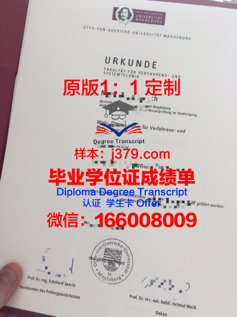 马格德堡大学毕业证图片(马格德堡大学毕业证图片大全)