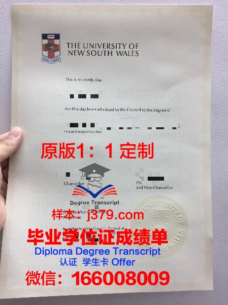 HKU博士毕业证：一份承载知识与荣耀的证书