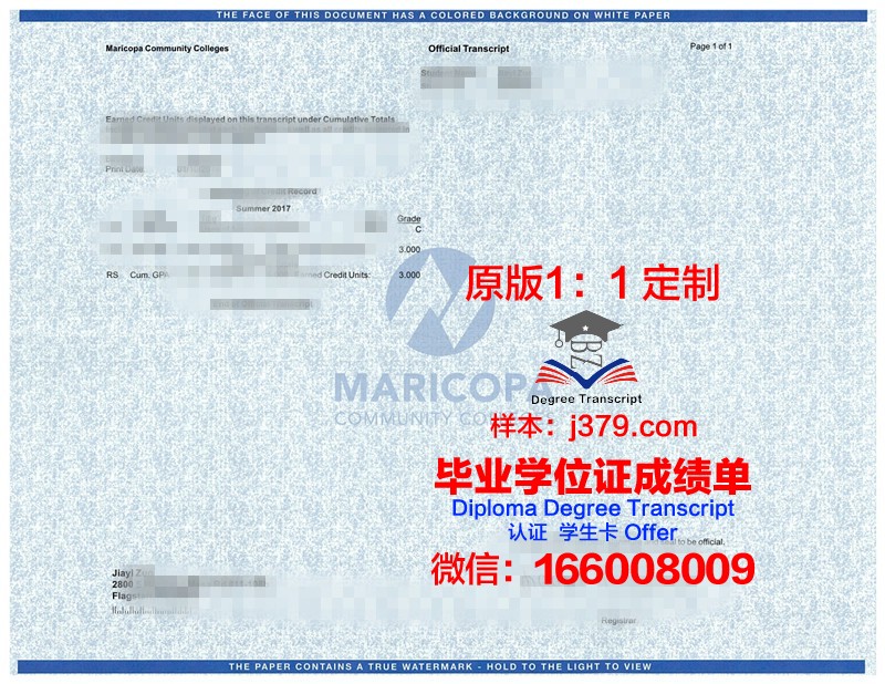 第聂伯国立医学院成绩单：探索医学教育之光