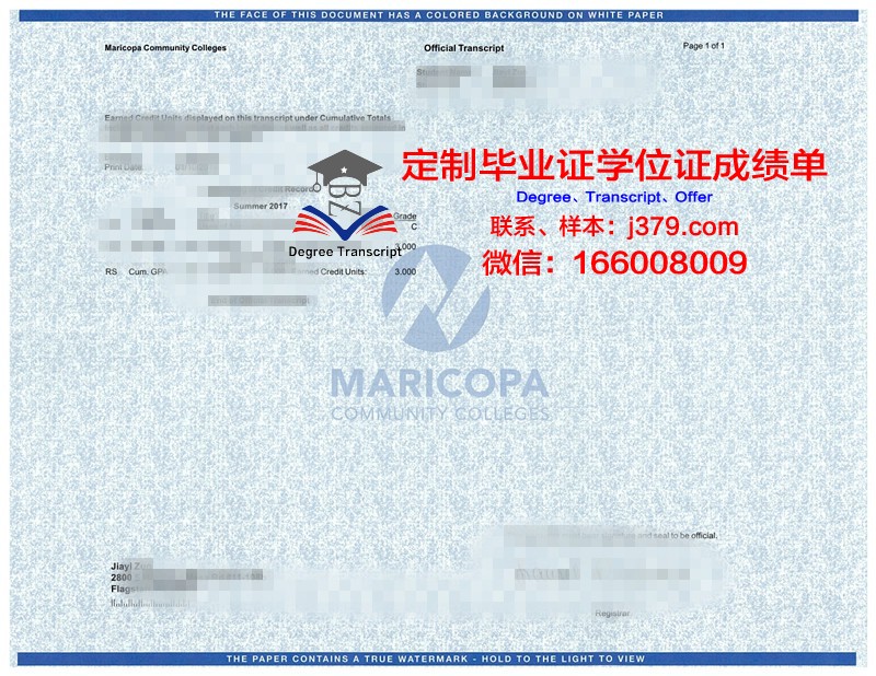 L-SDU学位成绩单定制：开启个性化教育新篇章