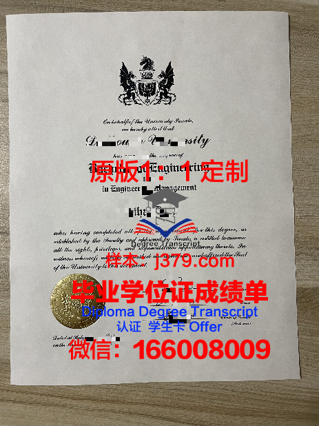 马格德堡-施滕达尔应用技术大学毕业证定制：承载荣誉与梦想的证书