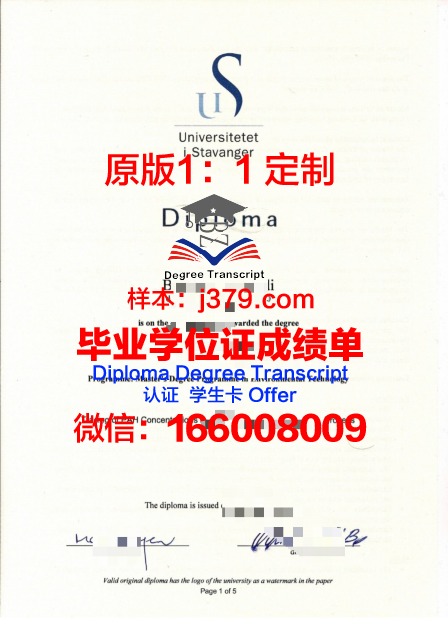 挪威商学院毕业学位