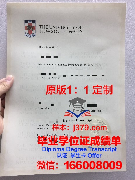 探索Higher School of Economics博士毕业证的价值与意义