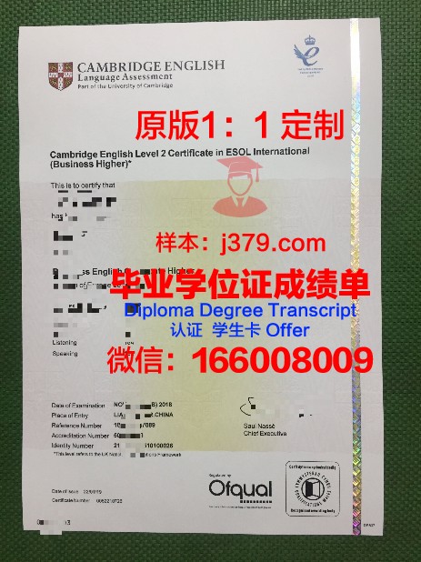 波兹南大学毕业证书模板(波兹南经济学院)