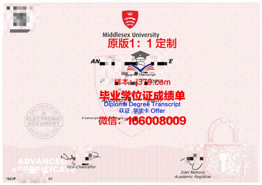 米德塞斯大学毕业证成绩单：一份国际认可的学术证明