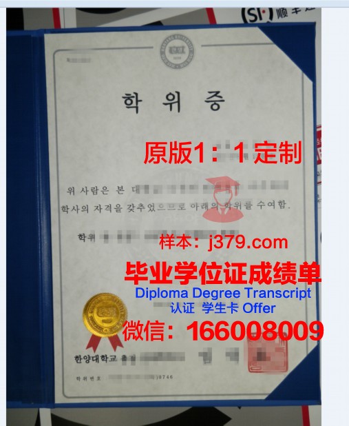挪威东南大学学位证：国际认可的学术荣誉
