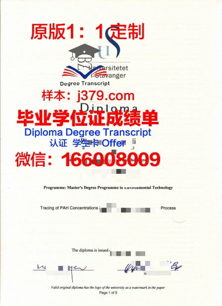 挪威商学院毕业证是什么样呢(bi挪威商学院好吗)