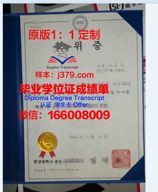 探索BMU博士学位证的价值与意义