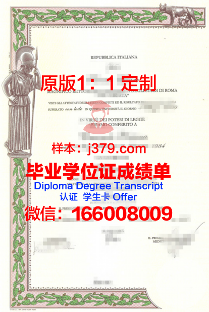 罗马第二大学本科毕业证：一份跨越国界的荣誉证书