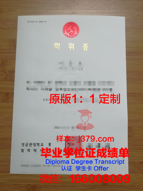 法兰克福应用技术大学硕士学位证：开启全球职业发展的大门