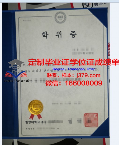 马尼亚大学博士学位证：一张开启未来的钥匙
