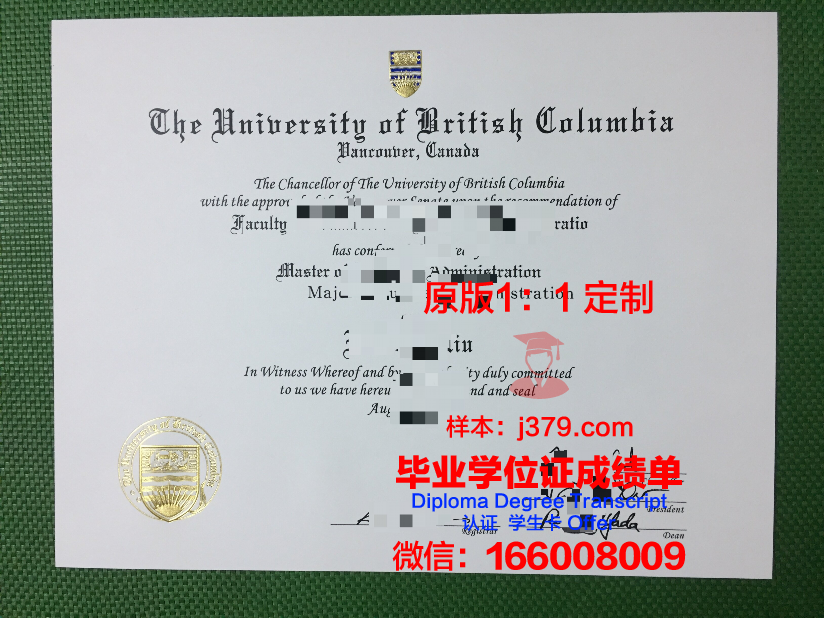 米尼亚大学学位证书(米尼亚大学学位证书有用吗)
