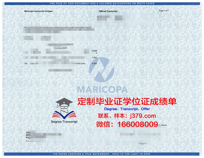 波兹南经济大学成绩单：一份亮眼的学术答卷