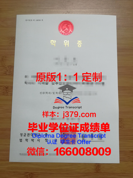罗姆大学位证成绩单：一份跨越时空的荣誉证明