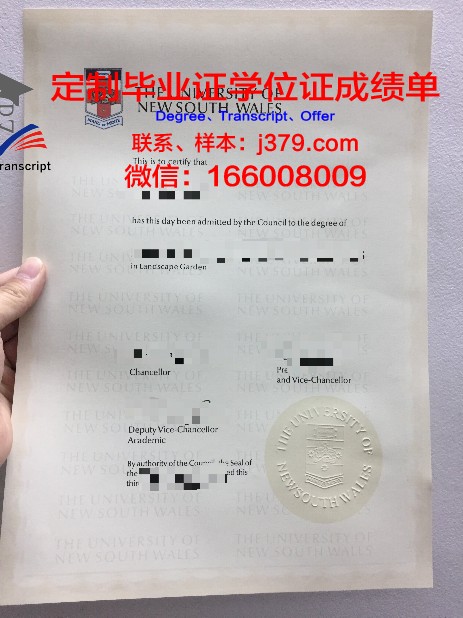 美因毕业证定制：个性化纪念，承载青春记忆