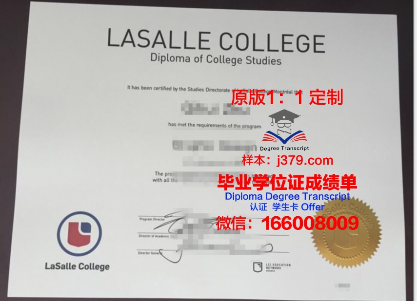 拉萨尔学院学生证(拉萨尔艺术学院怎么申请)