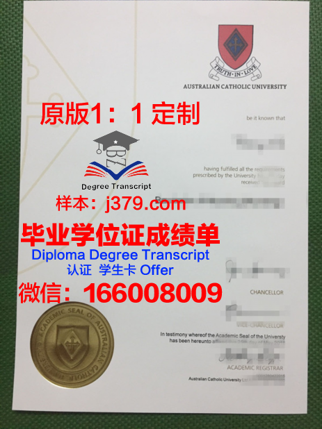 探索学术诚信之路——里约热内卢天主教大学学位成绩单定制的现象与反思