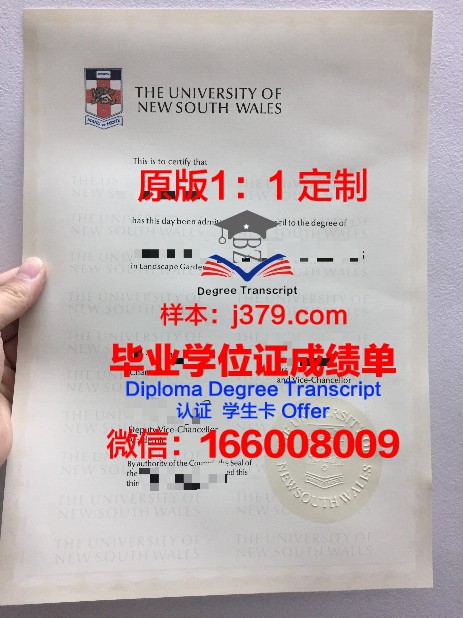 罗中毕业证：一张承载梦想与荣誉的纸