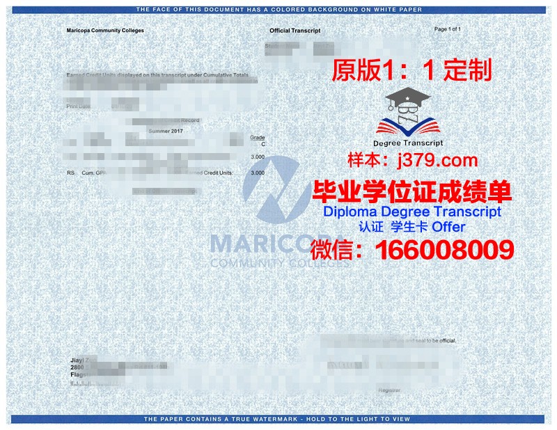 探索Hurricanes学位成绩单定制的奥秘