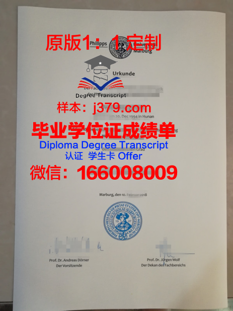 马尔堡大学毕业学位