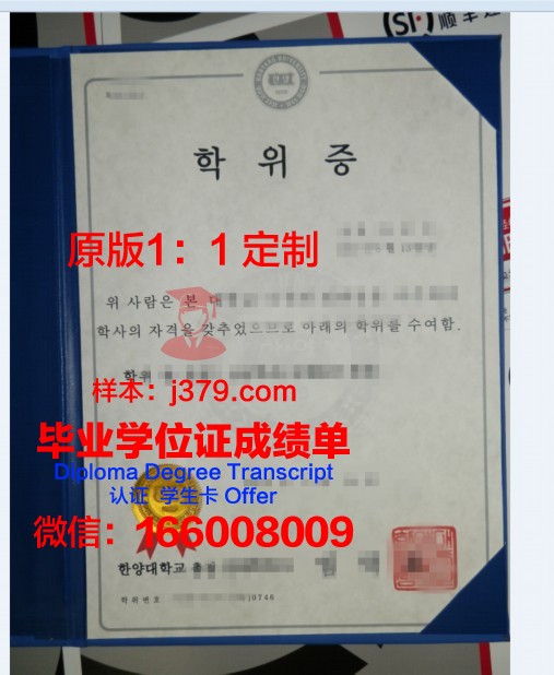 美利（Mei Li）硕士学位证：跨越学术巅峰的荣誉象征