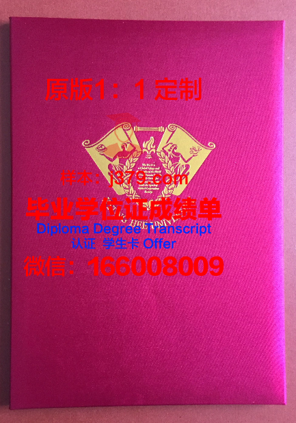 特鲁瓦技术大学毕业证壳子(特鲁瓦技术大学好不好)