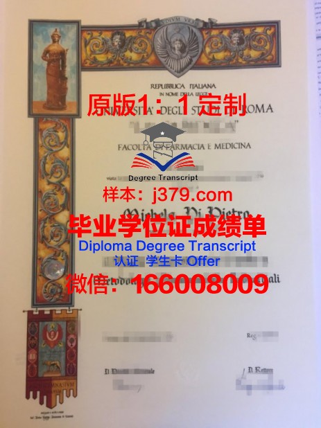 罗马第一大学学位证书(罗马第一大学世界排名)