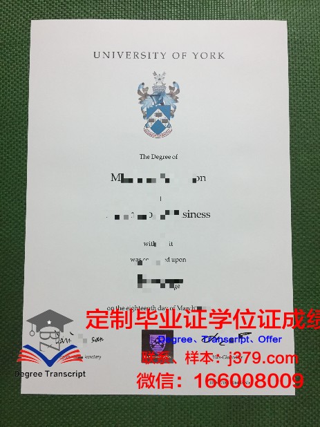 约克大学成绩单翻译模板(约克大学成绩要求)