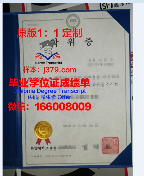 探秘CHIBA硕士学位证：国际化视野下的教育成就
