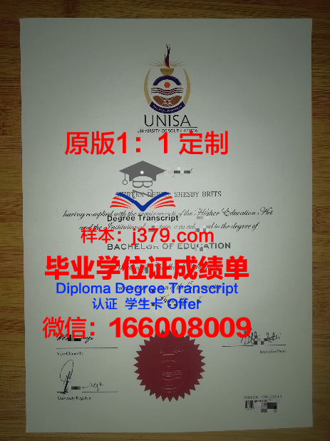 没有学历编号如何查询毕业证(没有学历编号如何查询毕业证信息)