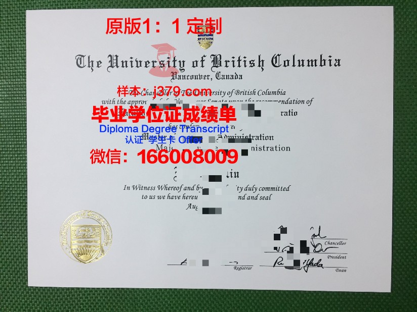 米尼亚大学学位证书(米尼亚大学学位证书有用吗)