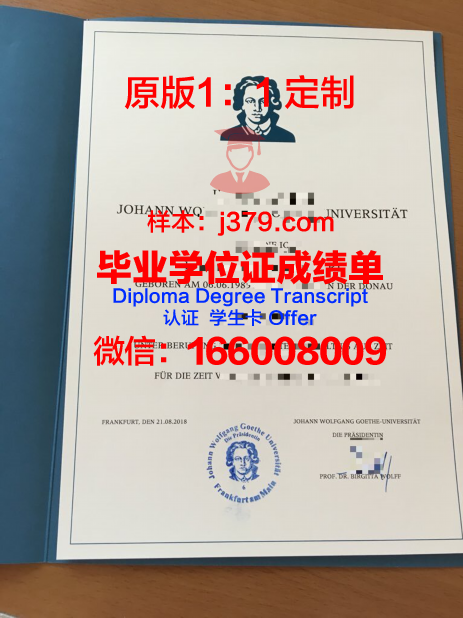 法兰克福大学毕业证(法兰克福大学mmf)