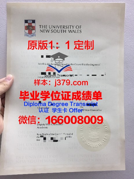 米尼亚大学毕业学位