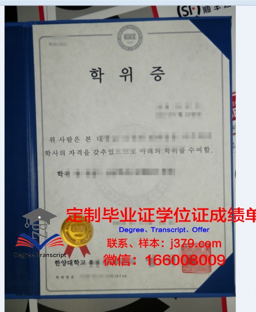 罗马第二大学硕士学位证：开启国际化教育新篇章