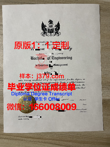 萨达尔帕特尔大学毕业证成绩单：历史珍宝的数字化保存