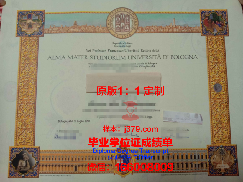 米尼亚大学毕业证等级(什么尼亚大学)