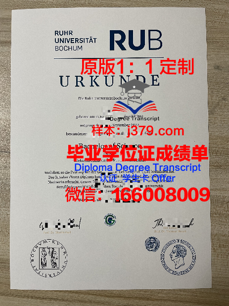 拉蒙鲁尔大学成绩单