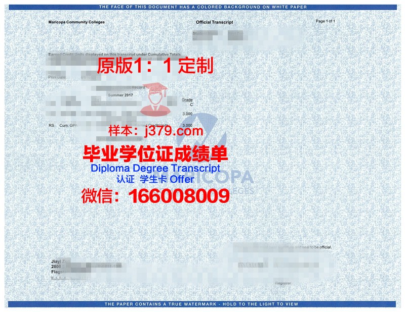 沙贝希大学位成绩单定制：质量与信誉的保证