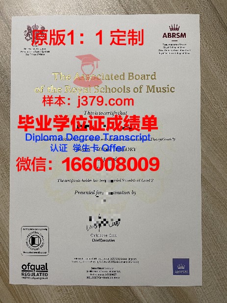 第聂伯罗彼得罗夫斯克音乐学院diploma证书(第聂伯彼得罗夫斯克战役)